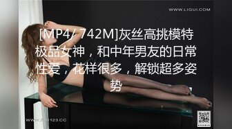 [MP4/ 742M]灰丝高挑模特极品女神，和中年男友的日常性爱，花样很多，解锁超多姿势